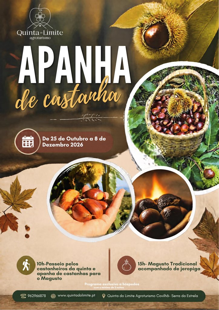 Cartaz Castanha